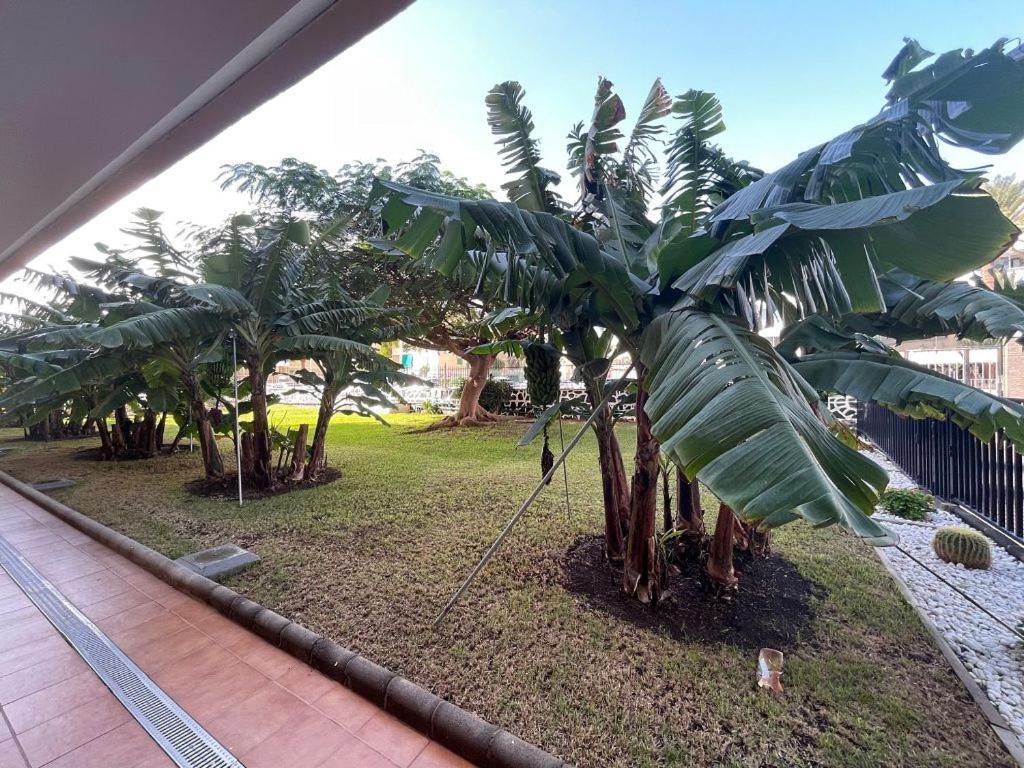 Seaview Apartment Los Cactus プラヤ・デル・イングレス エクステリア 写真